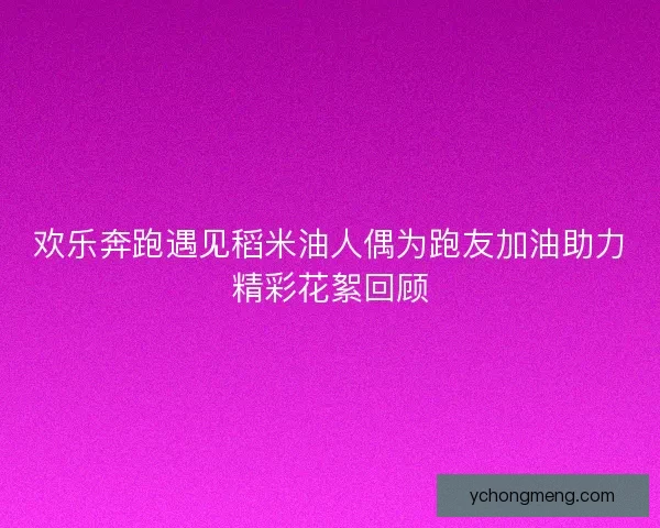 欢乐奔跑遇见稻米油人偶为跑友加油助力精彩花絮回顾