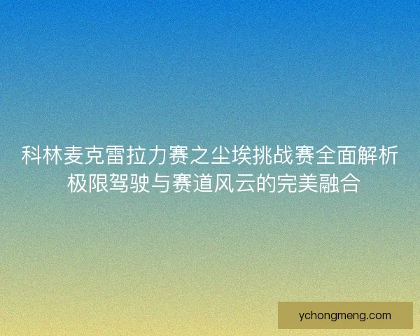 科林麦克雷拉力赛之尘埃挑战赛全面解析 极限驾驶与赛道风云的完美融合