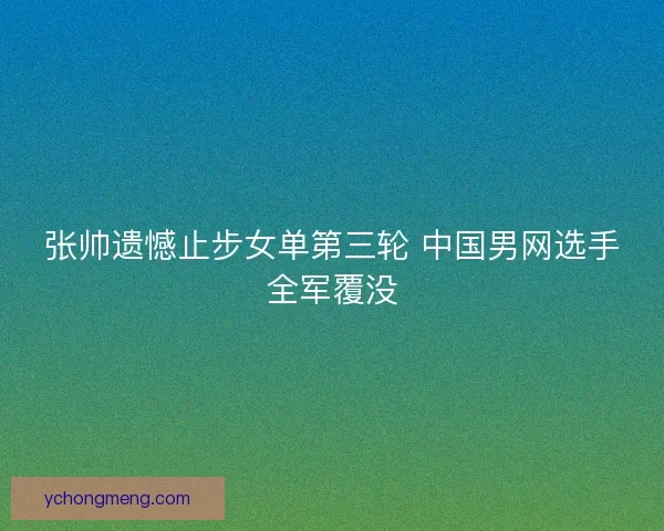 张帅遗憾止步女单第三轮 中国男网选手全军覆没
