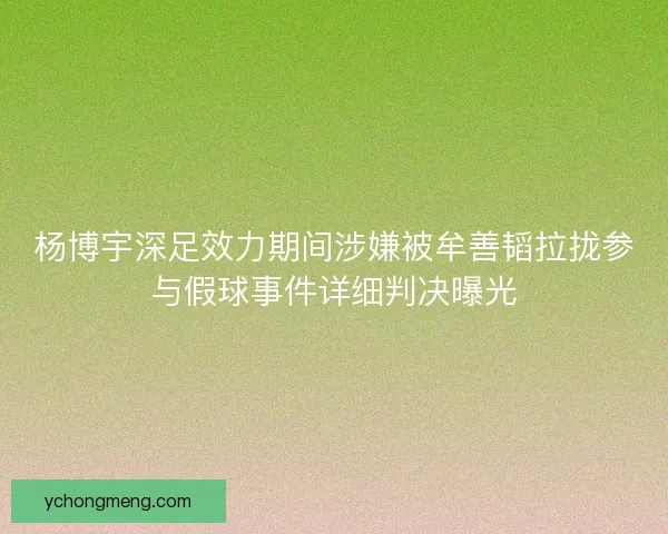 杨博宇深足效力期间涉嫌被牟善韬拉拢参与假球事件详细判决曝光