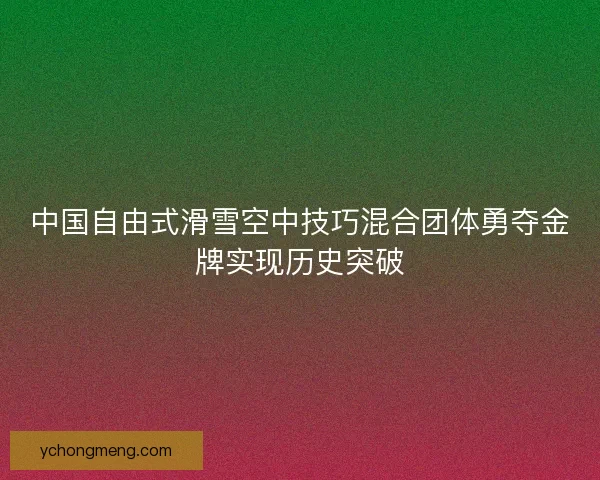 中国自由式滑雪空中技巧混合团体勇夺金牌实现历史突破